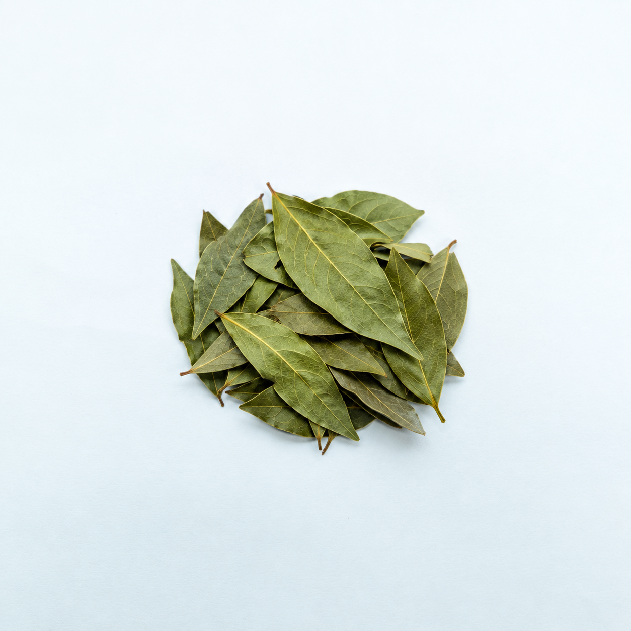 Lemon balm