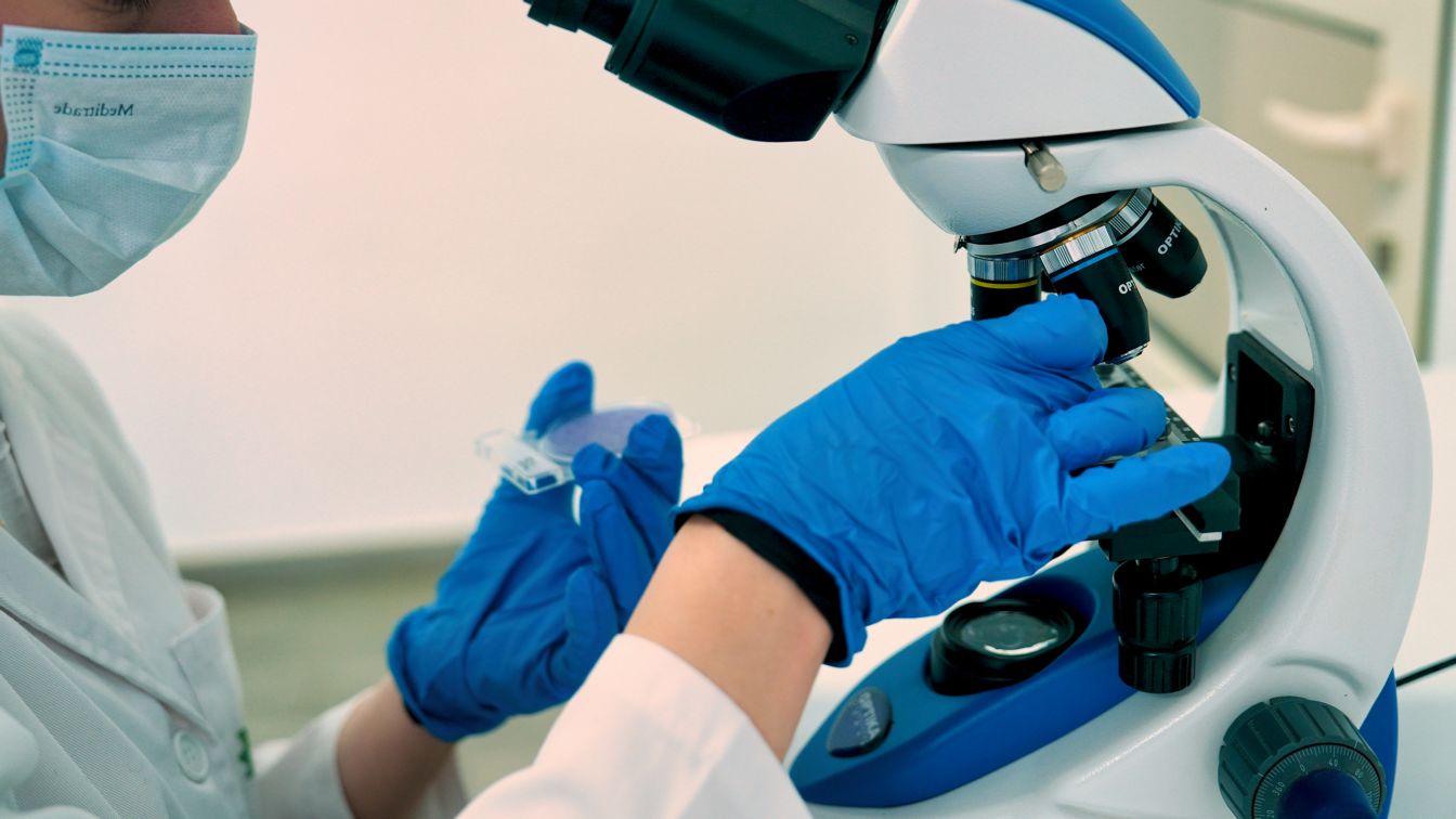 Food ingredient quality inspection